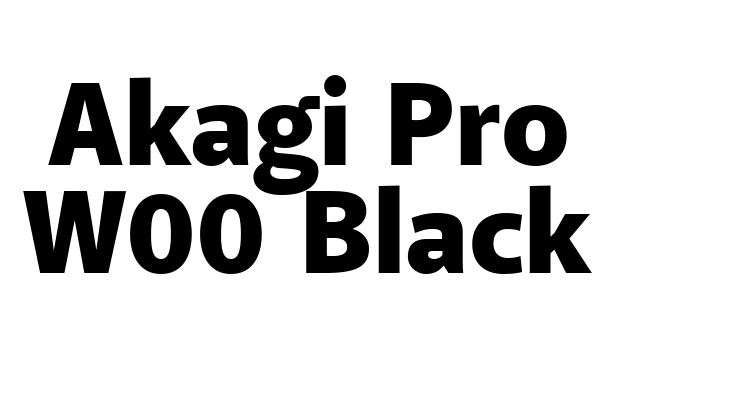 Akagi Pro W00 Black Font
