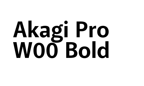 Akagi Pro W00 Bold Font