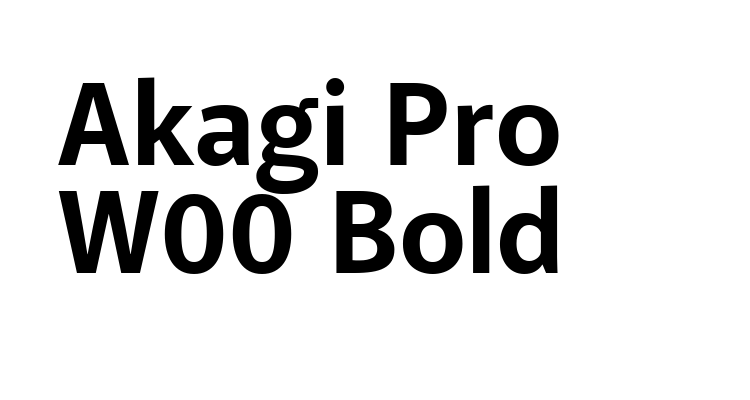 Akagi Pro W00 Bold Font