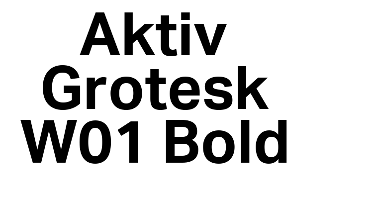 Aktiv Grotesk W01 Bold Font