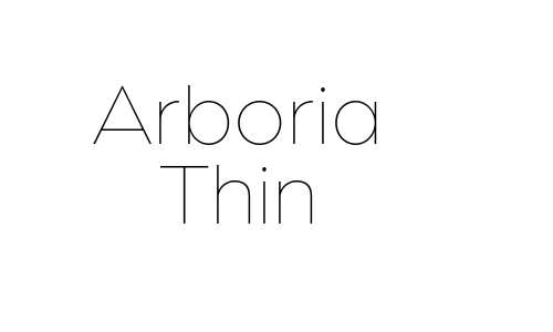 Arboria Thin Font