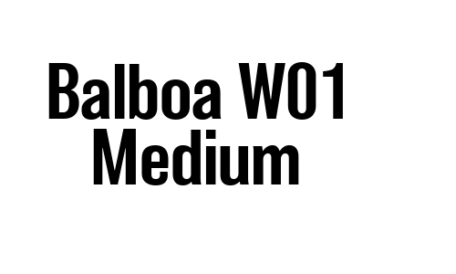 Balboa W01 Medium Font