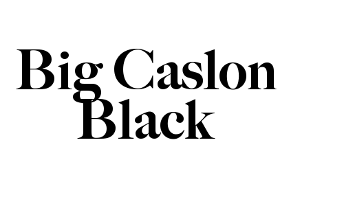 Big Caslon Black Font