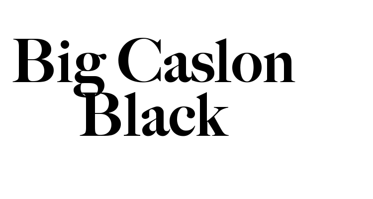 Big Caslon Black Font