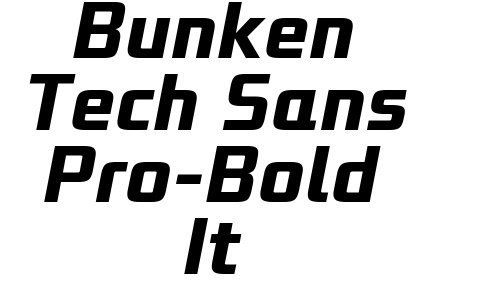 Bunken Tech Sans Pro-Bold It Font
