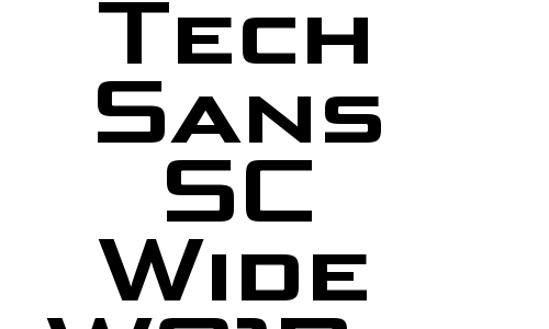 Bunken Tech Sans SC Wide W01Bd Font