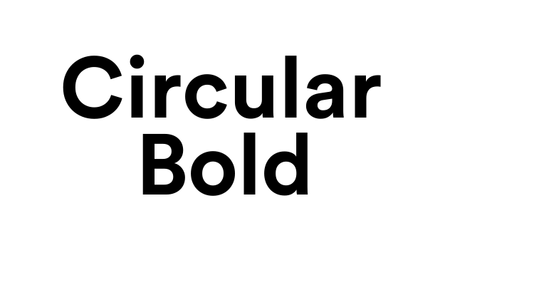 Circular Bold Font