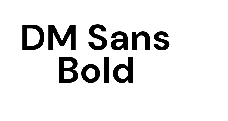 DM Sans Bold Font