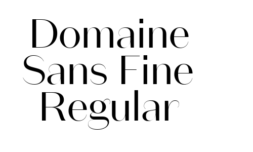 Domaine Sans Fine Regular Font