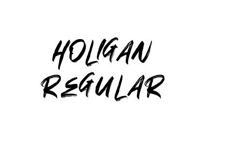 HOLIGAN Regular Font