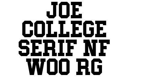 Joe College Serif NF W00 Rg