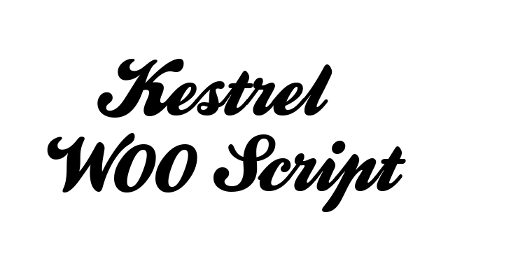 Kestrel W00 Script Font