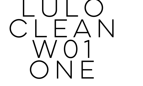 Lulo Clean W01 One Font