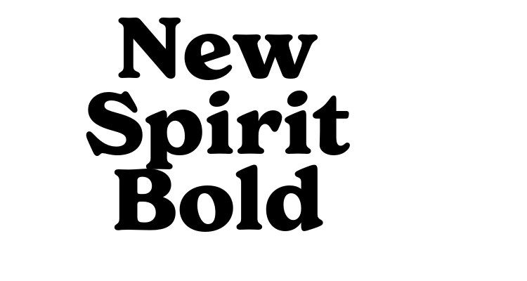 New Spirit Bold Font