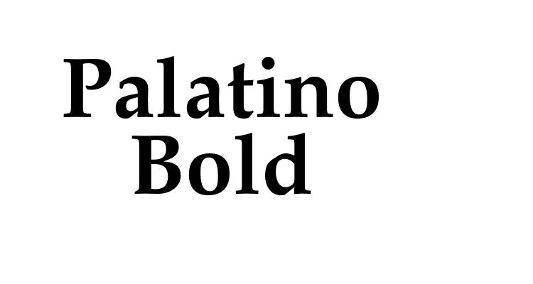 Palatino Bold Font