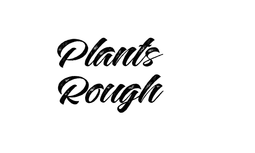 Plants Rough Font