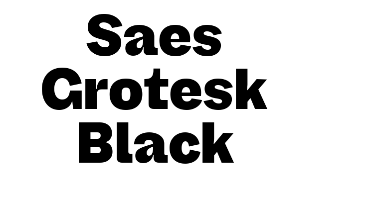 Saes Grotesk Black Font