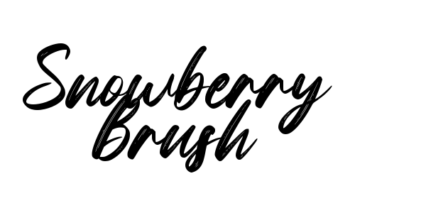 Snowberry Brush Font