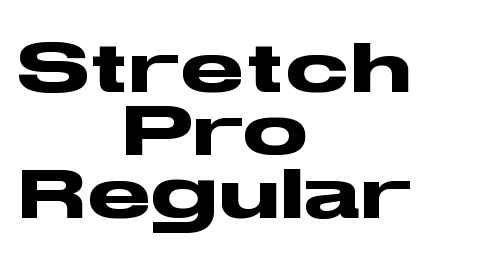 Stretch Pro Regular
