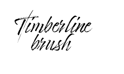 Timberline brush Font
