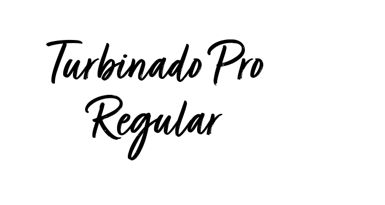 Turbinado Pro Regular Font