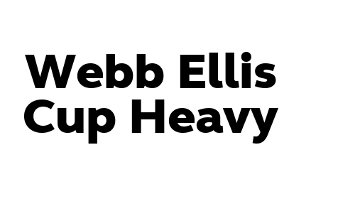 Webb Ellis Cup Heavy