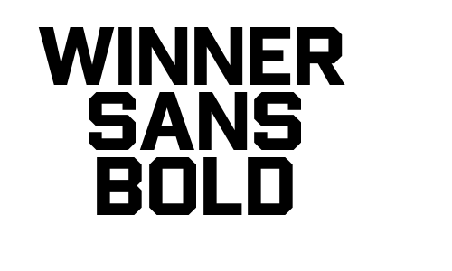 Winner Sans Bold Font