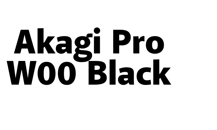 Akagi Pro W00 Black Font