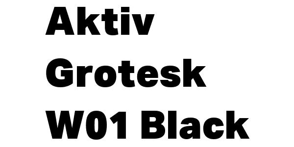 Aktiv Grotesk W01 Black Font Download