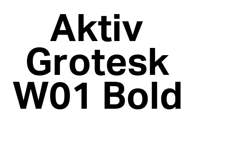Aktiv Grotesk W01 Bold Font