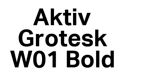 Aktiv Grotesk W01 Bold font download