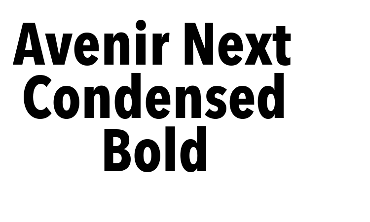 Avenir Next Condensed Bold Font