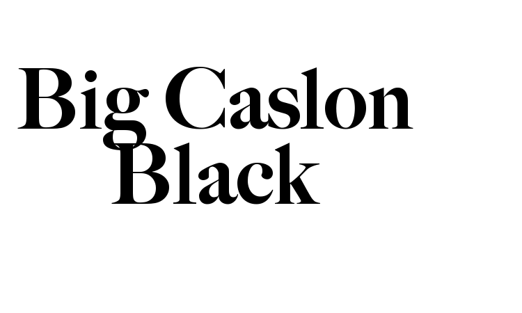 Big Caslon Black Font