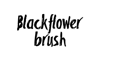 Blackflower brush font download