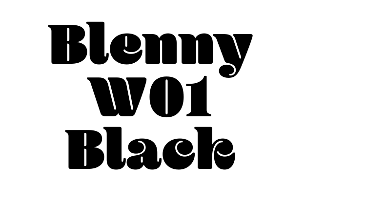 Blenny W01 Black Font