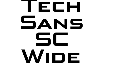 Bunken Tech Sans SC Wide W01Bd font download