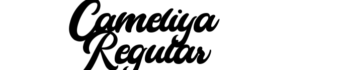 Cameliya Regular