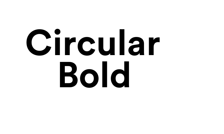 Circular Bold Font