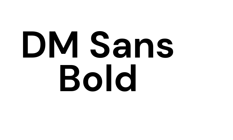 DM Sans Bold Font