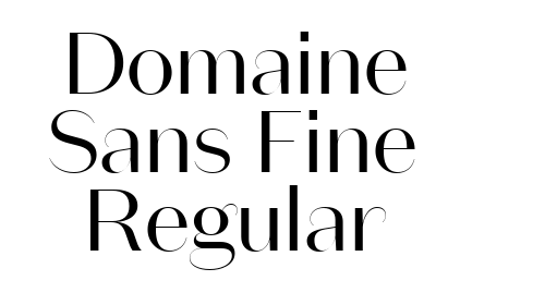 Domaine Sans Fine Regular font download