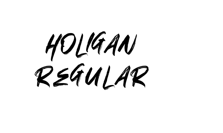 HOLIGAN Regular Font