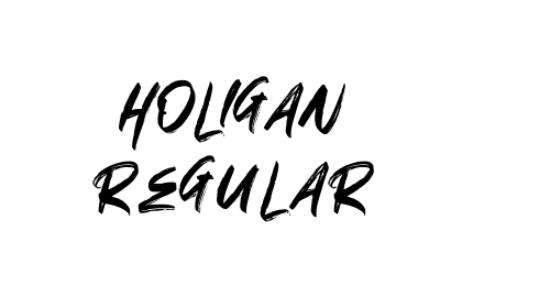 HOLIGAN Regular font download
