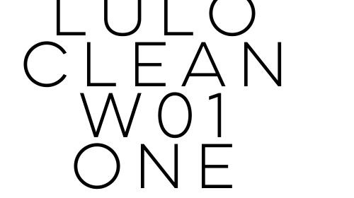 Lulo Clean W01 One font