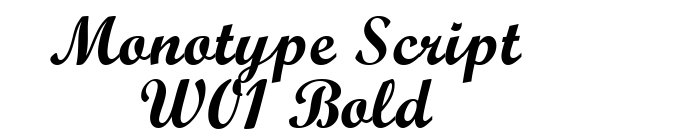 Monotype Script W01 Bold font download