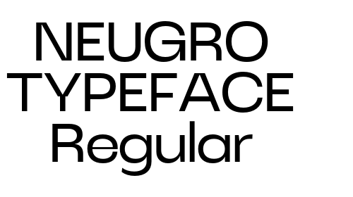 NEUGRO TYPEFACE Regular Font