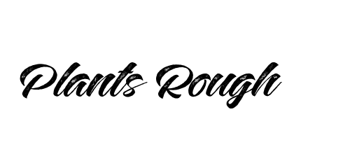 Plants Rough