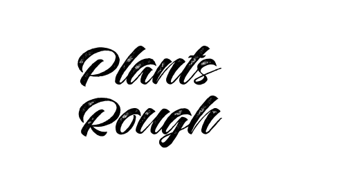 Plants Rough font