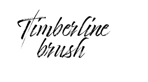 Timberline brush font download