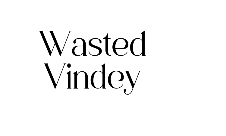 Wasted Vindey Font
