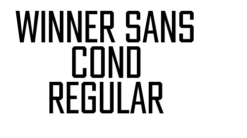 Winner Sans Cond Regular font download